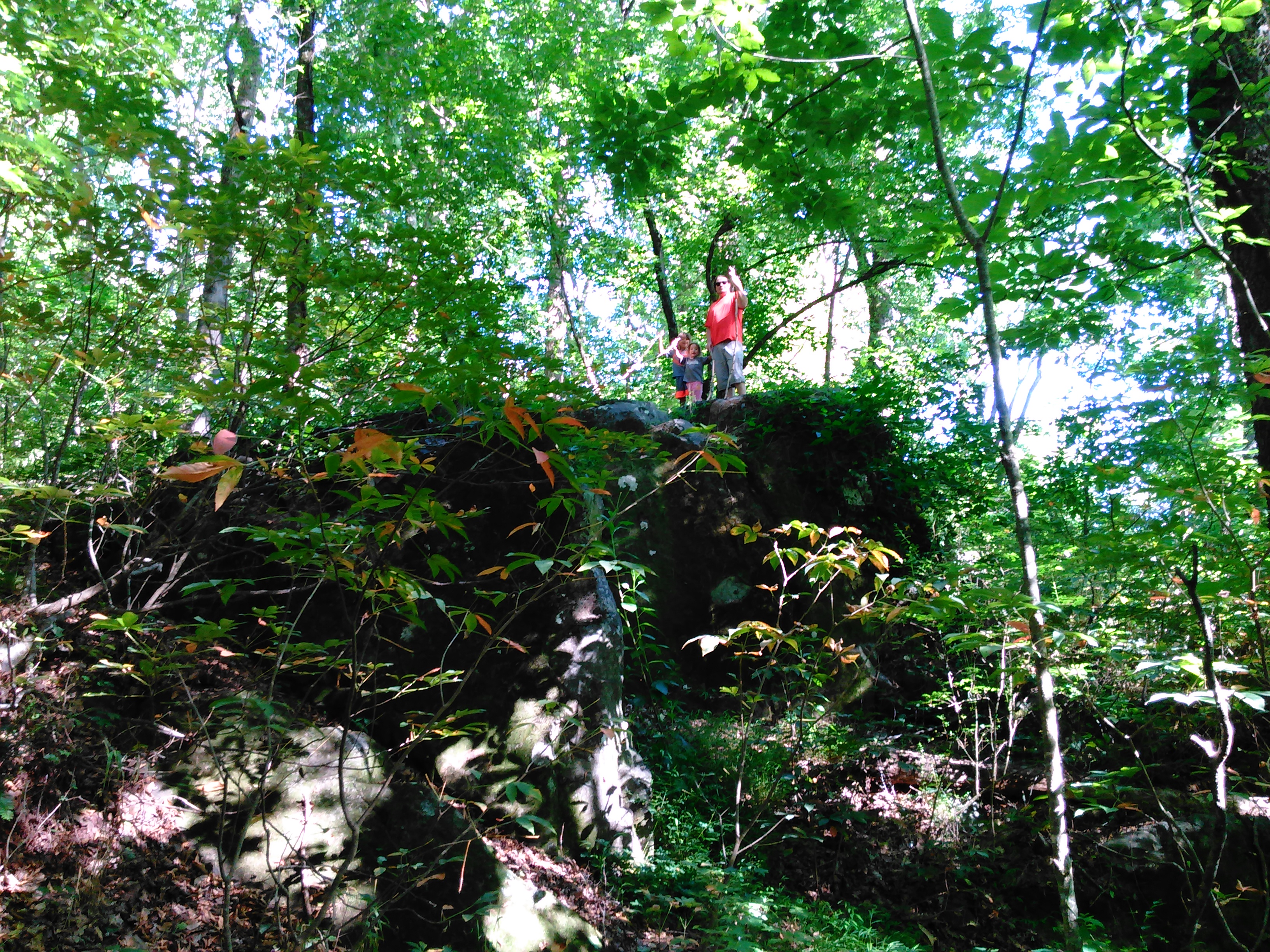 Hollow Rock Nature Park